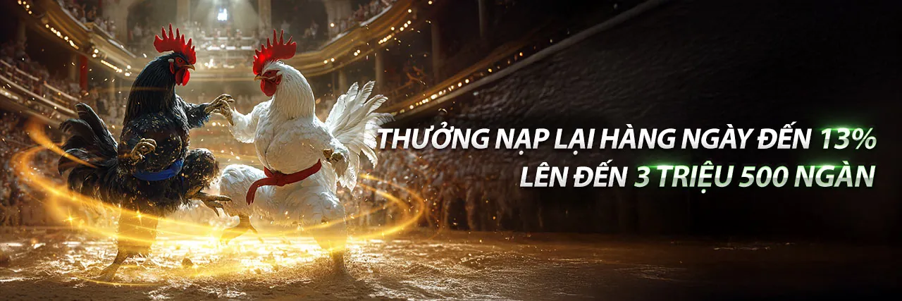 Đá Gà C3 Trận 59 tại Vua Club